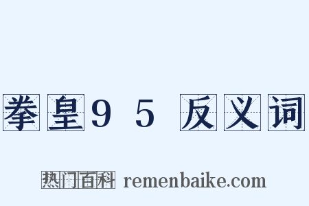 拳皇95反义词是什么意思的图片